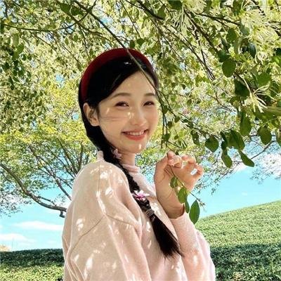 龙牌之谜